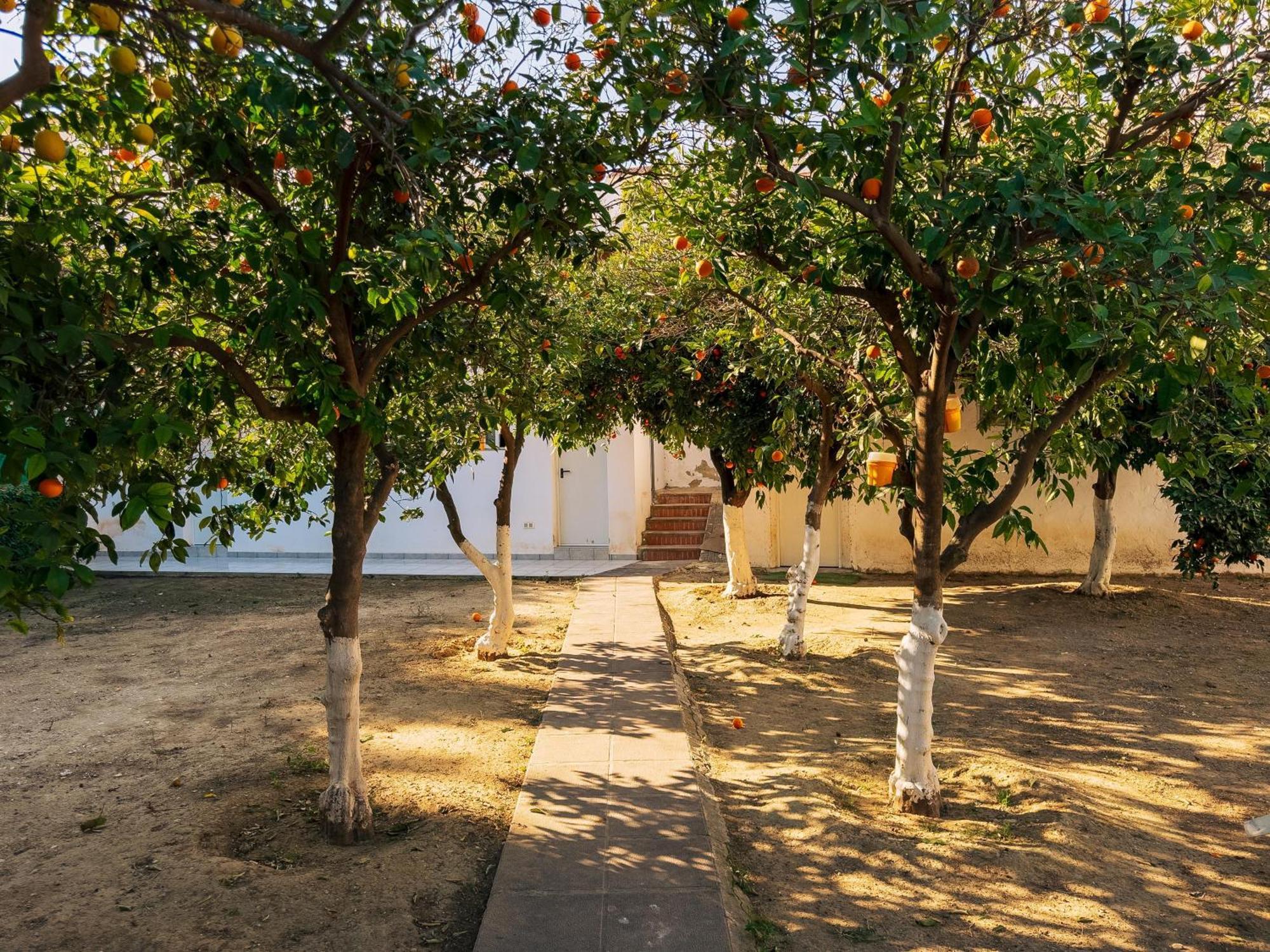 Charming Country House Торремолинос Экстерьер фото